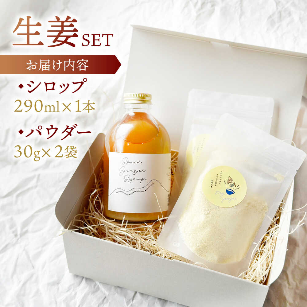 【ふるさと納税】【生姜シロップ＆パウダーSET】スパイスジンジャーシロップ(290ml×1本) ジンジャーパウダー(30g×2袋) / ジンジャー シロップ 自家製 生姜 自然 暮らし ギフト / 諫早市 / のんびり山　[AHBA004] サムネイル2