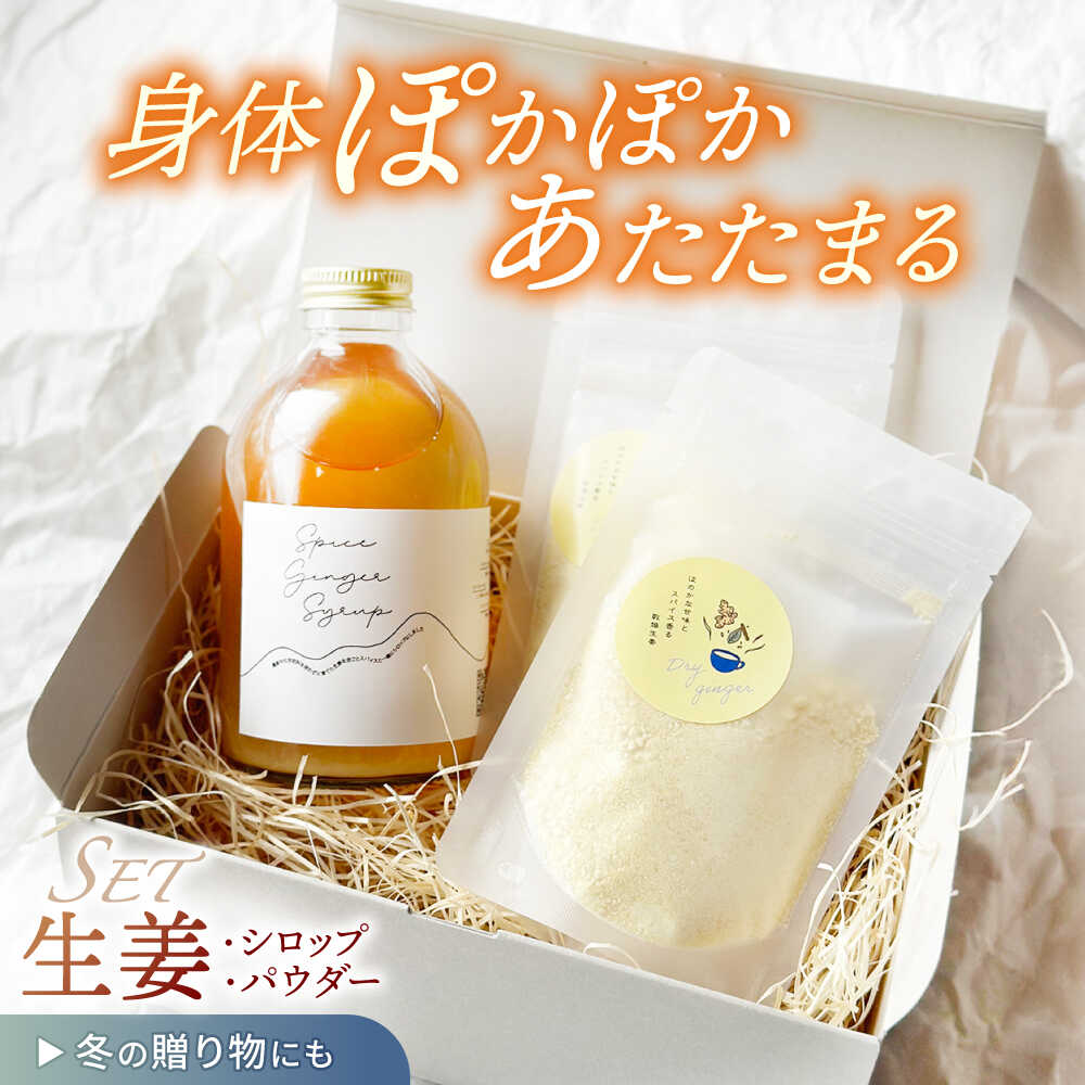 【生姜シロップ＆パウダーSET】スパイスジンジャーシロップ(290ml×1本) ジンジャーパウダー(30g×2袋) / ジンジャー シロップ 自家製 生姜 自然 暮らし ギフト / 諫早市 / のんびり山　[AHBA004]