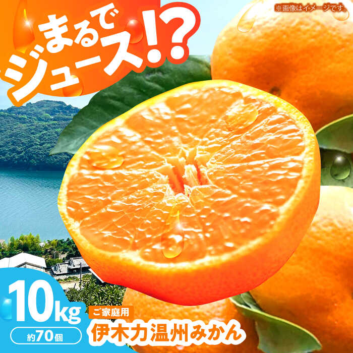※【2026年1月(令和8年)発送分／先行予約】伊木力温州みかん 10kg（ご家庭用）/ みかん ミカン 蜜柑 フルーツ 果物 / 諫早市 / 末永果樹園 [AHBD001]