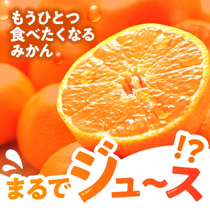 【ふるさと納税】※【2025年12月(令和7年)発送分／先行予約】伊木力温州早生みかん10kg(ご家庭用、箱入り) / みかん 温州みかん 柑橘 蜜柑 ミカン 果物 / 諫早市 / 末永果樹園 [AHBD002] サムネイル2