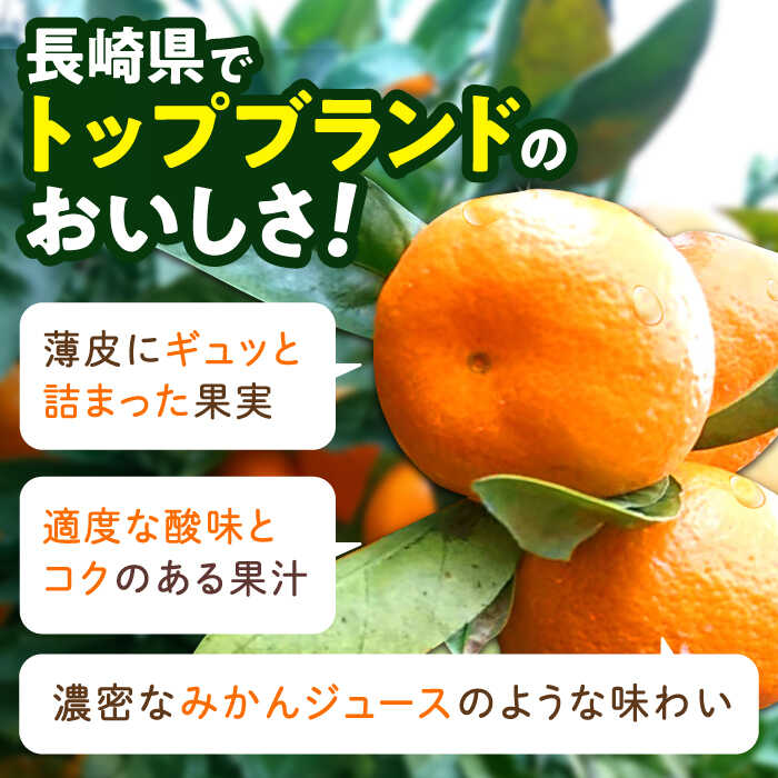 【ふるさと納税】※【2025年12月(令和7年)発送分／先行予約】伊木力温州早生みかん10kg(ご家庭用、箱入り) / みかん 温州みかん 柑橘 蜜柑 ミカン 果物 / 諫早市 / 末永果樹園 [AHBD002] サムネイル3
