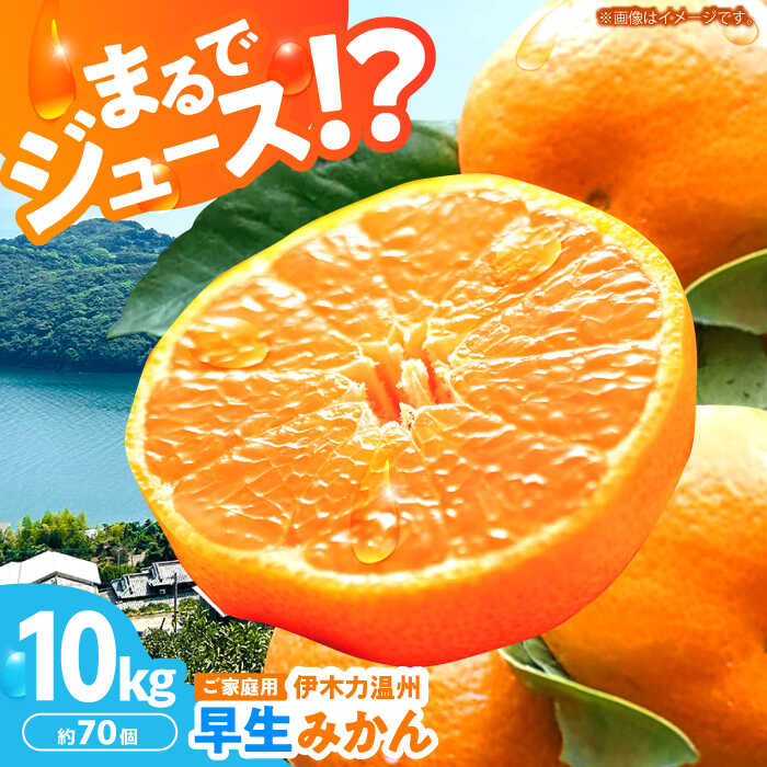 ※【2025年12月(令和7年)発送分／先行予約】伊木力温州早生みかん10kg(ご家庭用、箱入り) / みかん 温州みかん 柑橘 蜜柑 ミカン 果物 / 諫早市 / 末永果樹園 [AHBD002]