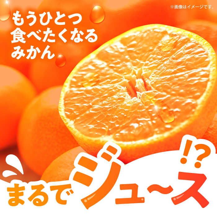 【ふるさと納税】伊木力温州早生みかん5kg(ご家庭用、箱入り) / 伊木力 温州みかん みかん ミカン 蜜柑 佐瀬 諫早 多良見 長崎 早生　/ 末永果樹園[AHBD004] サムネイル2