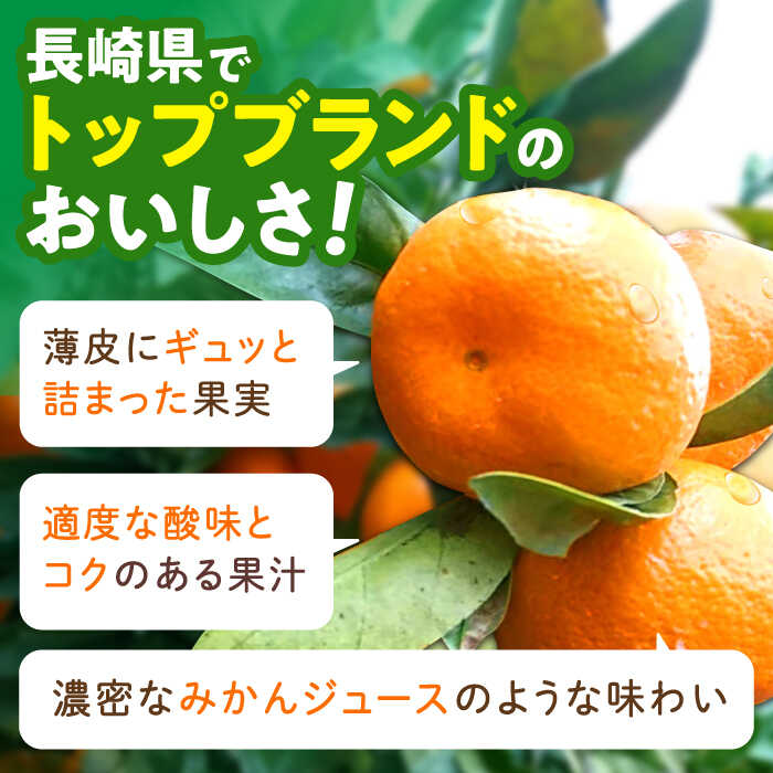 【ふるさと納税】伊木力温州早生みかん5kg(ご家庭用、箱入り) / 伊木力 温州みかん みかん ミカン 蜜柑 佐瀬 諫早 多良見 長崎 早生　/ 末永果樹園[AHBD004] サムネイル3