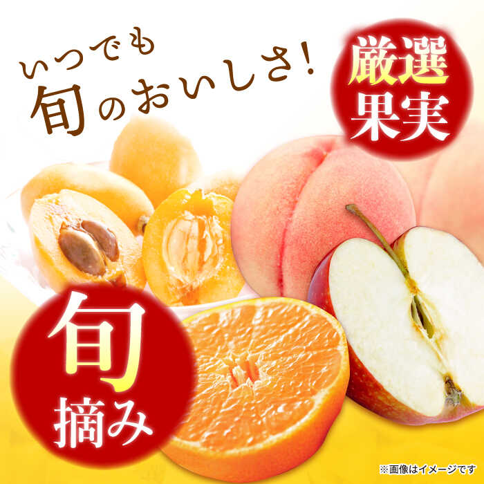 【ふるさと納税】たらみ PURE シリーズ / ゼリー フルーツゼリー 果実ゼリー 果物 フルーツ くだもの / 諫早市 / 株式会社たらみ [AHBR008] - 画像2