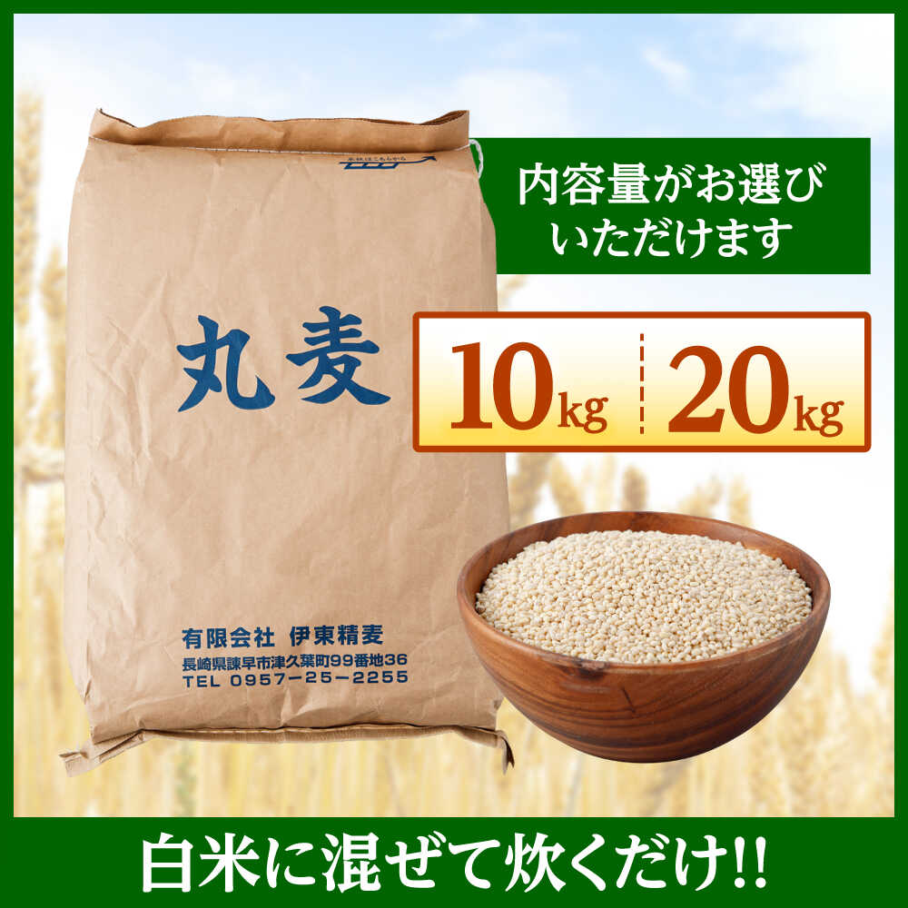【ふるさと納税】もち麦よりも『ぷりっ』とした弾力〈選べる容量〉長崎県産 丸麦 10kg 20kg / 麦 むぎ 雑穀 雑穀米 麦ごはん 麦飯 麦みそ 食物繊維 長崎県産 米 こめ コメ ※ / 諫早市 / 有限会社伊東精麦[AHBU005] - 画像2