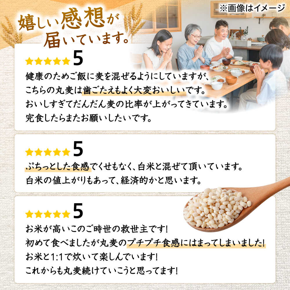 【ふるさと納税】もち麦よりも『ぷりっ』とした弾力〈選べる容量〉長崎県産 丸麦 10kg 20kg / 麦 むぎ 雑穀 雑穀米 麦ごはん 麦飯 麦みそ 食物繊維 長崎県産 米 こめ コメ ※ / 諫早市 / 有限会社伊東精麦[AHBU005] - 画像3