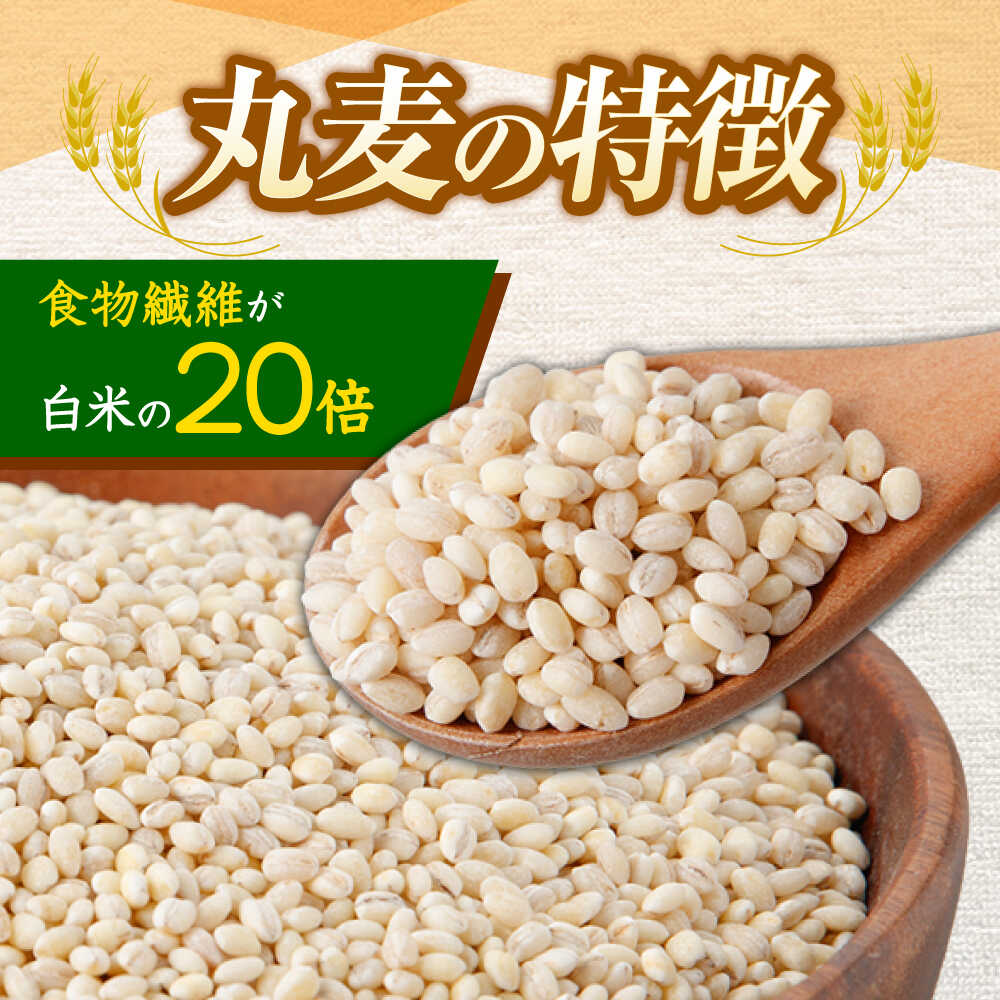【ふるさと納税】【隔月3回定期便】長崎県産 丸麦 10kg / 麦 むぎ 雑穀 雑穀米 麦ごはん 麦飯 麦みそ 食物繊維 長崎県産 米 こめ コメ ※ / 諫早市 / 有限会社伊東精麦[AHBU006] - 画像2