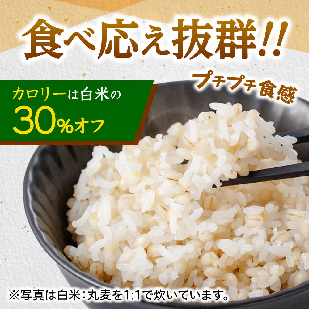 【ふるさと納税】【隔月3回定期便】長崎県産 丸麦 10kg / 麦 むぎ 雑穀 雑穀米 麦ごはん 麦飯 麦みそ 食物繊維 長崎県産 米 こめ コメ ※ / 諫早市 / 有限会社伊東精麦[AHBU006] - 画像3
