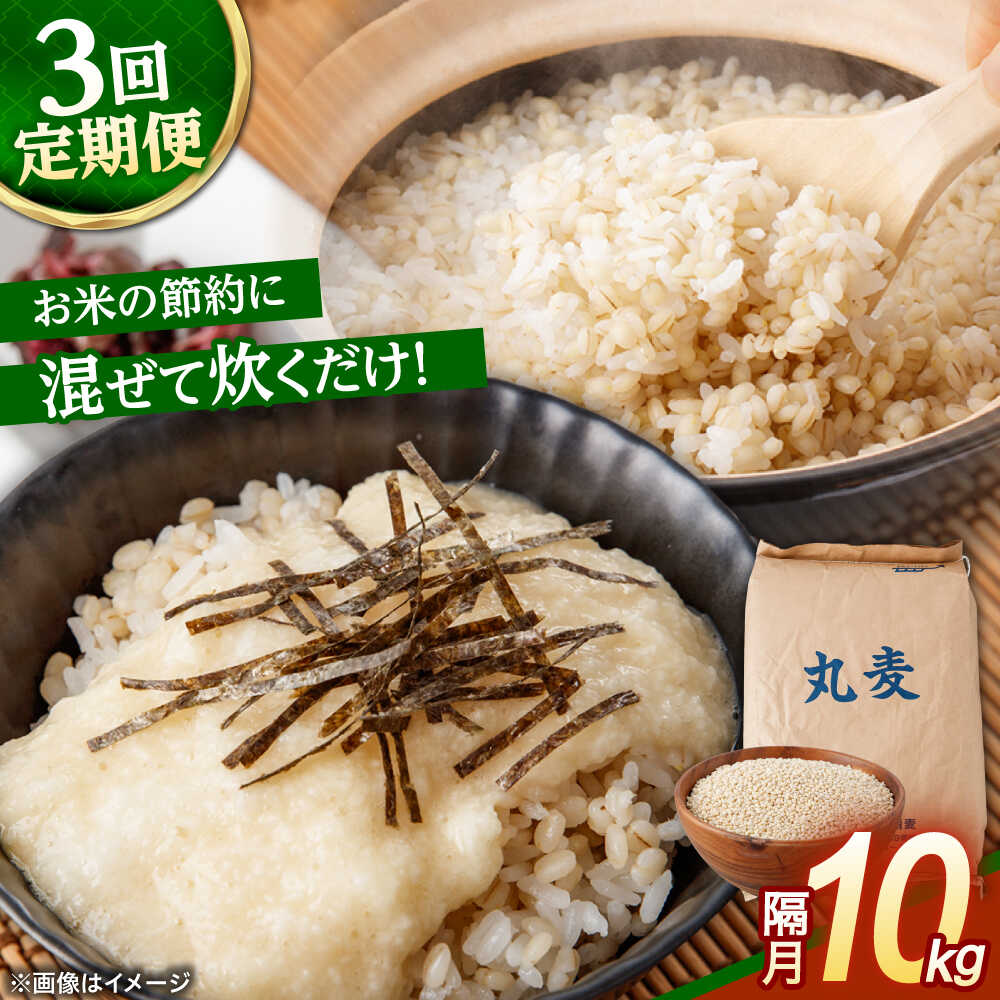 【隔月3回定期便】長崎県産 丸麦 10kg / 麦 むぎ 雑穀 雑穀米 麦ごはん 麦飯 麦みそ 食物繊維 長崎県産 米 こめ コメ ※ / 諫早市 / 有限会社伊東精麦[AHBU006]
