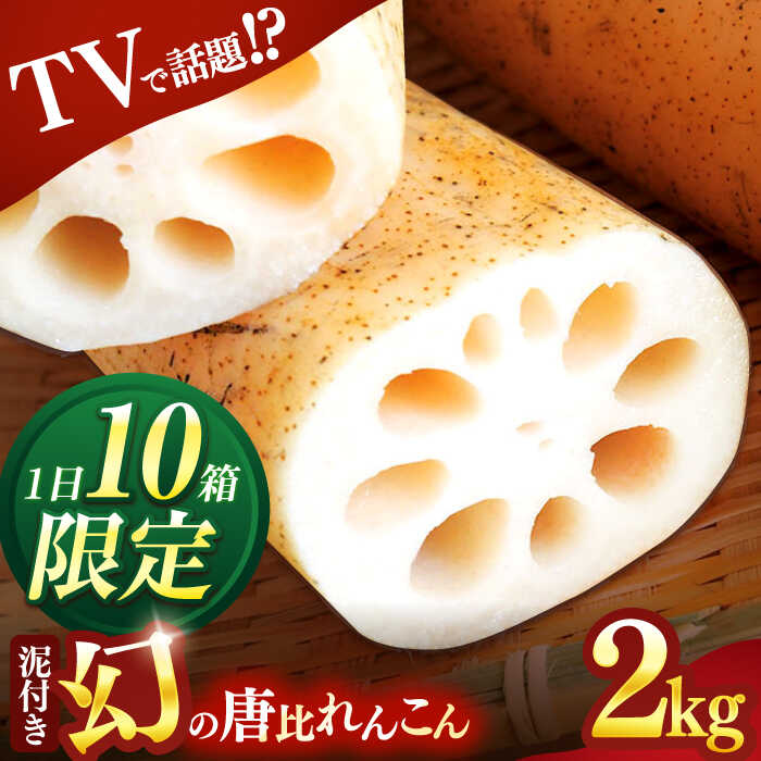 幻の唐比れんこん 2kg / れんこん レンコン 蓮根 やさい 野菜 / 諫早市 / 農事組合法人スマイル・ライフ [AHCA002]