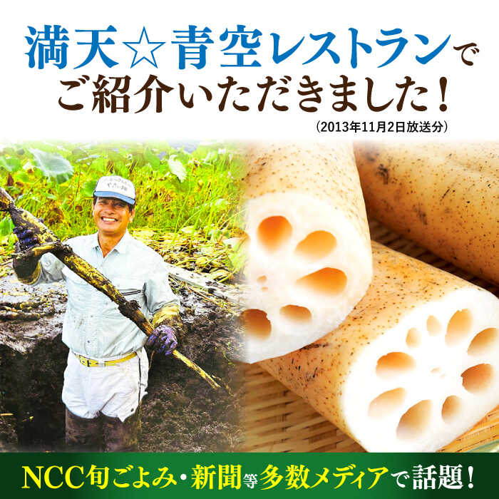 【ふるさと納税】幻の唐比れんこん 3kg / れんこん レンコン 蓮根 やさい 野菜 / 諫早市 / 農事組合法人スマイル・ライフ [AHCA003] - 画像3