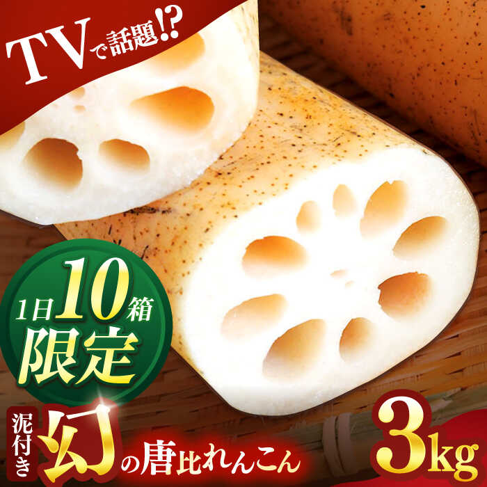 幻の唐比れんこん 3kg / れんこん レンコン 蓮根 やさい 野菜 / 諫早市 / 農事組合法人スマイル・ライフ [AHCA003]