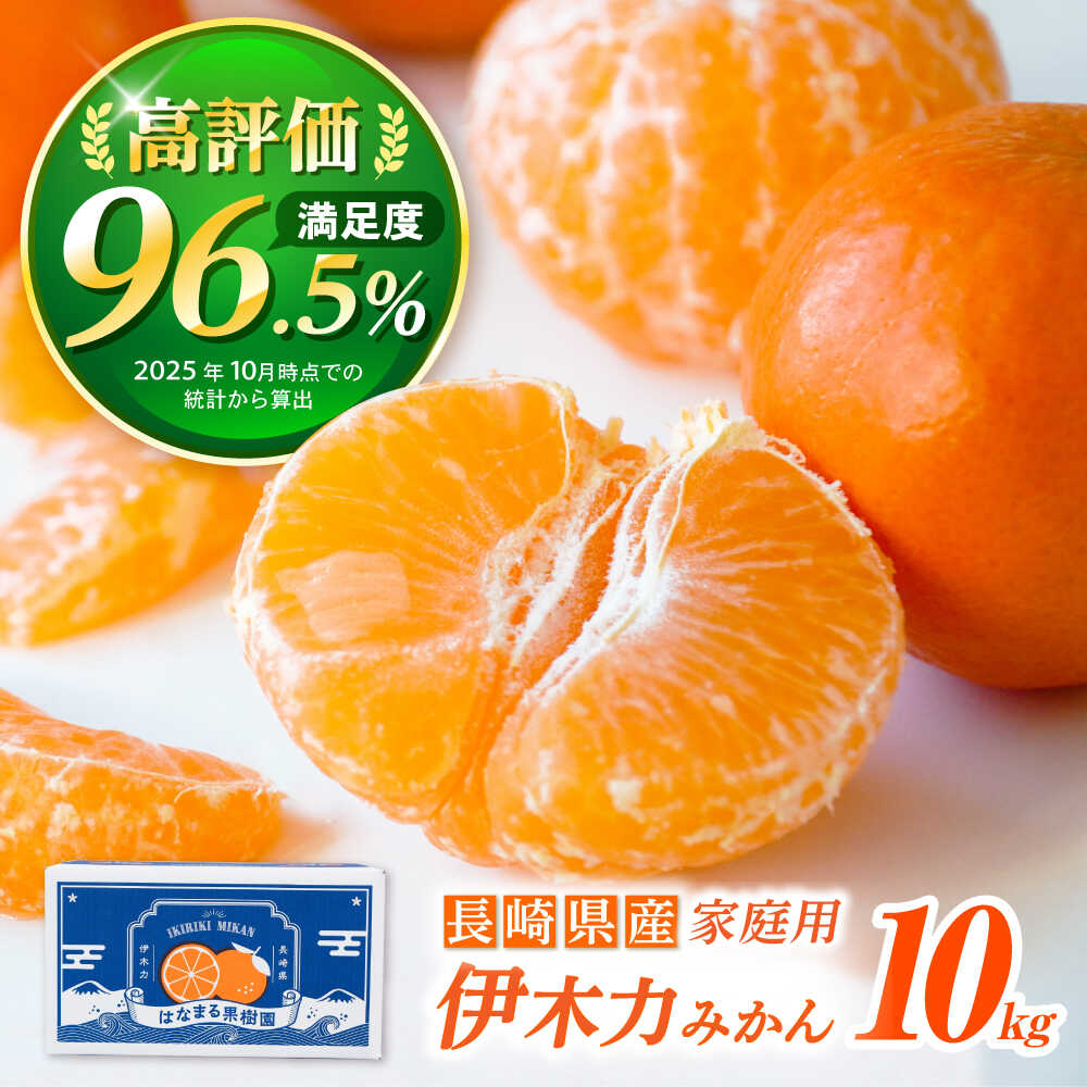 ※【2025年10月より順次発送／先行予約】伊木力みかん（家庭用） 10kg / みかん ミカン 蜜柑 mikan 柑橘 かんきつ フルーツ ふるーつ 果物 くだもの / 諫早市 / 山野果樹園 [AHCF001]
