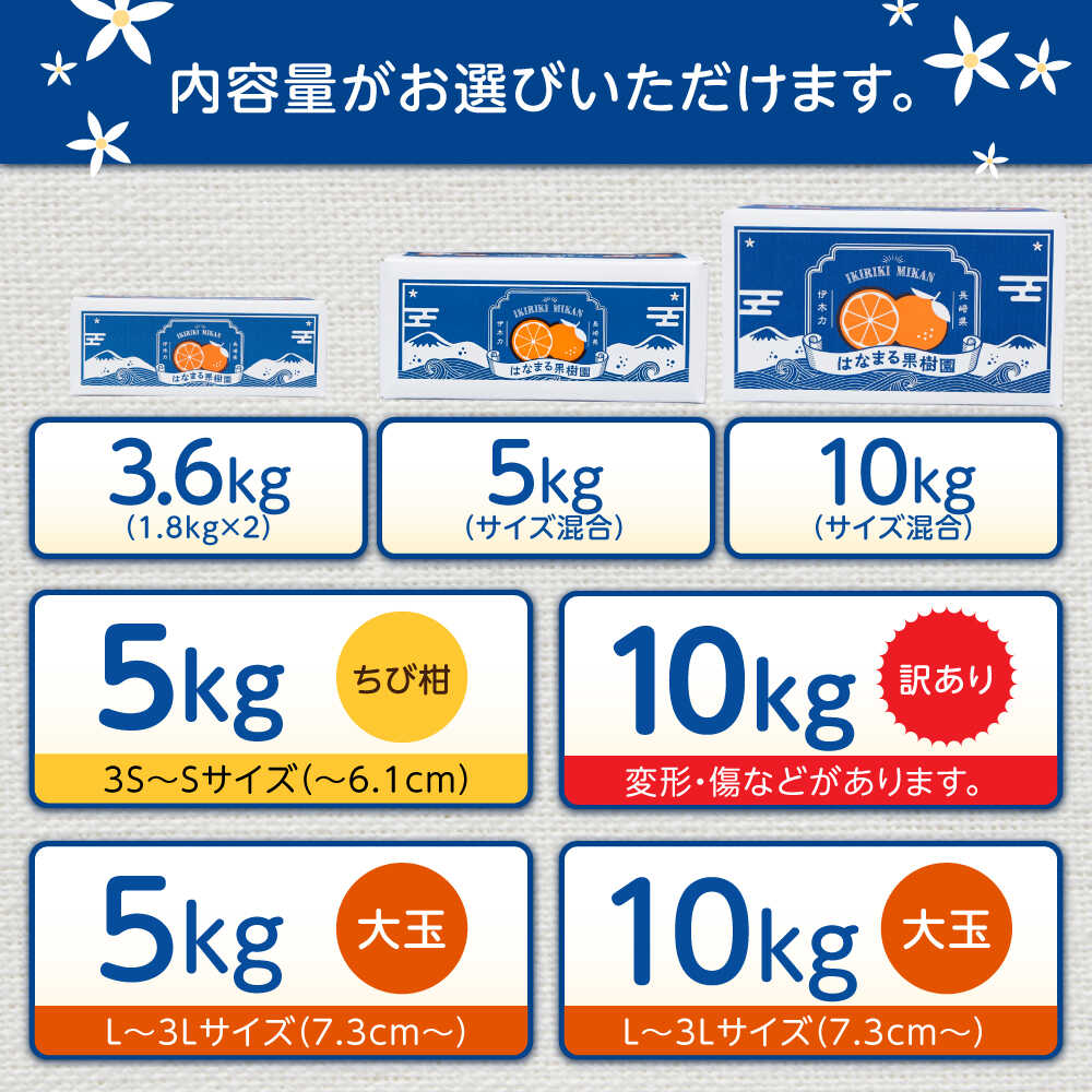 【ふるさと納税】※【2026年10月下旬より順次発送／先行予約】伊木力みかん 5kg 10kg 3.6kg / みかん ミカン 蜜柑 オレンジ mikan 柑橘 かんきつ フルーツ ふるーつ 果物 くだもの 訳あり / 諫早市 / 山野果樹園 [AHCF002] - 画像2