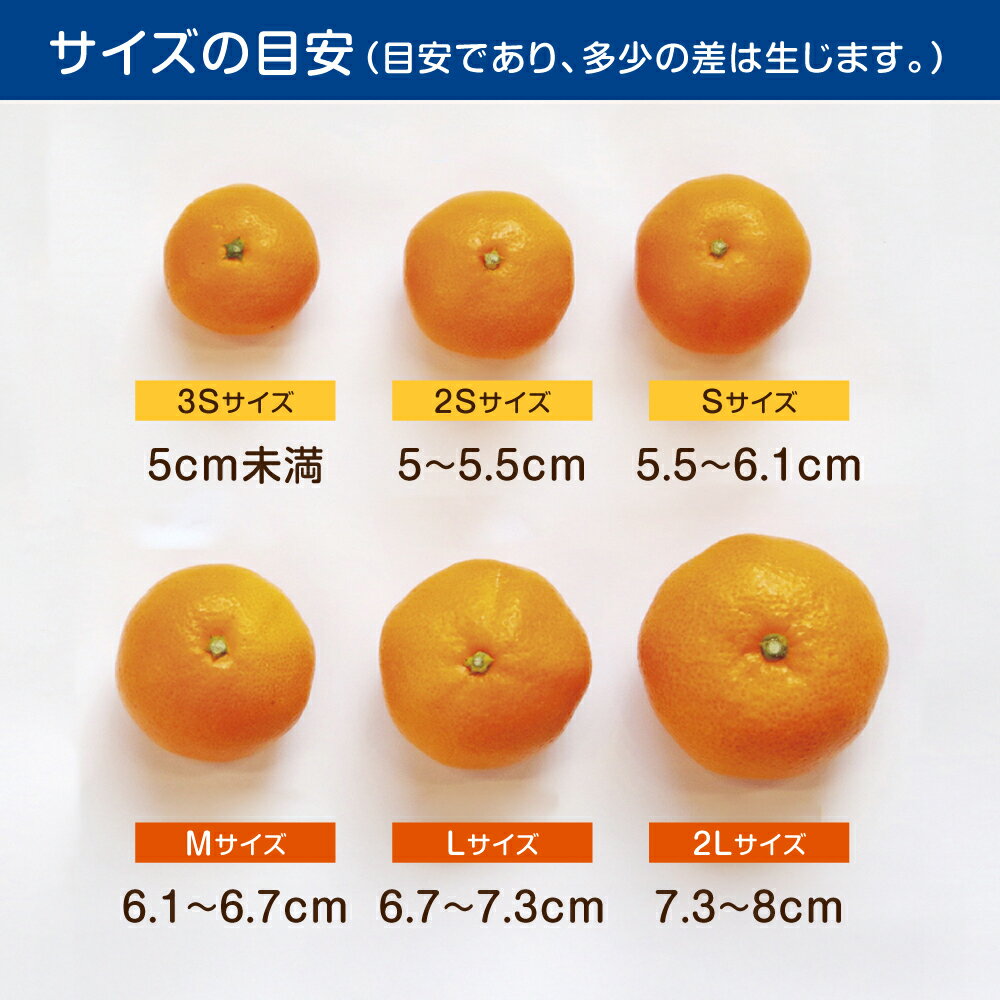 【ふるさと納税】※【2026年10月下旬より順次発送／先行予約】伊木力みかん 5kg 10kg 3.6kg / みかん ミカン 蜜柑 オレンジ mikan 柑橘 かんきつ フルーツ ふるーつ 果物 くだもの 訳あり / 諫早市 / 山野果樹園 [AHCF002] - 画像3