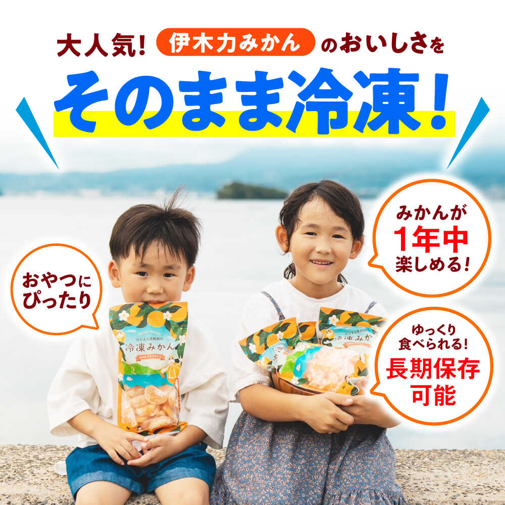 【ふるさと納税】※【2025年11月より順次発送／先行予約】《レビューキャンペーン実施中》冷凍 伊木力みかん 400g×4袋 計1.6kg / みかん ミカン 蜜柑 冷凍みかん 冷凍 果物 くだもの フルーツ / 諫早市 / 山野果樹園 [AHCF006] サムネイル2