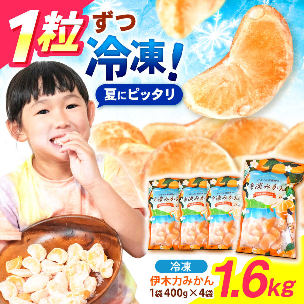 ※【2025年11月より順次発送／先行予約】《レビューキャンペーン実施中》冷凍 伊木力みかん 400g×4袋 計1.6kg / みかん ミカン 蜜柑 冷凍みかん 冷凍 果物 くだもの フルーツ / 諫早市 / 山野果樹園 [AHCF006]