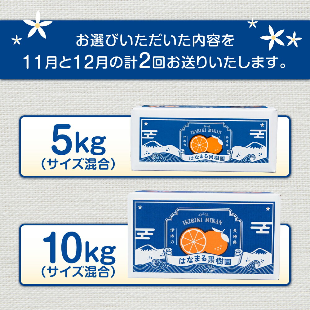 【ふるさと納税】【2回定期便】※【2026年11月上旬より順次発送／先行予約】伊木力みかん(家庭用) 5kg・10kg / みかん ミカン 蜜柑 柑橘 フルーツ ふるーつ 果物 くだもの 定期便 みかん定期便 / 諫早市 / 山野果樹園[AHCF008] - 画像2