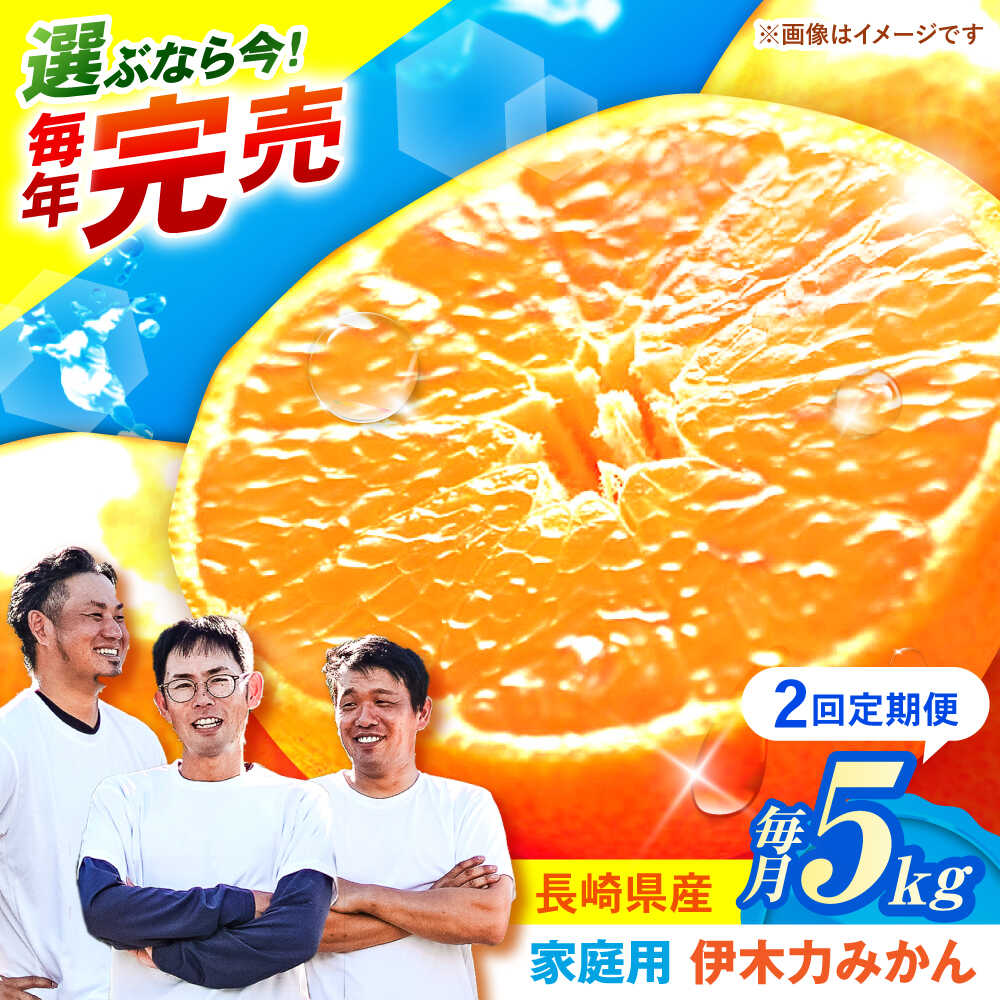 【2回定期便】※【11月より発送／先行予約】《レビューキャンペーン実施中》伊木力みかん (家庭用) 5kg / みかん ミカン 蜜柑 柑橘 フルーツ ふるーつ 果物 くだもの 定期便 みかん定期便 / 諫早市 / 山野果樹園[AHCF008]
