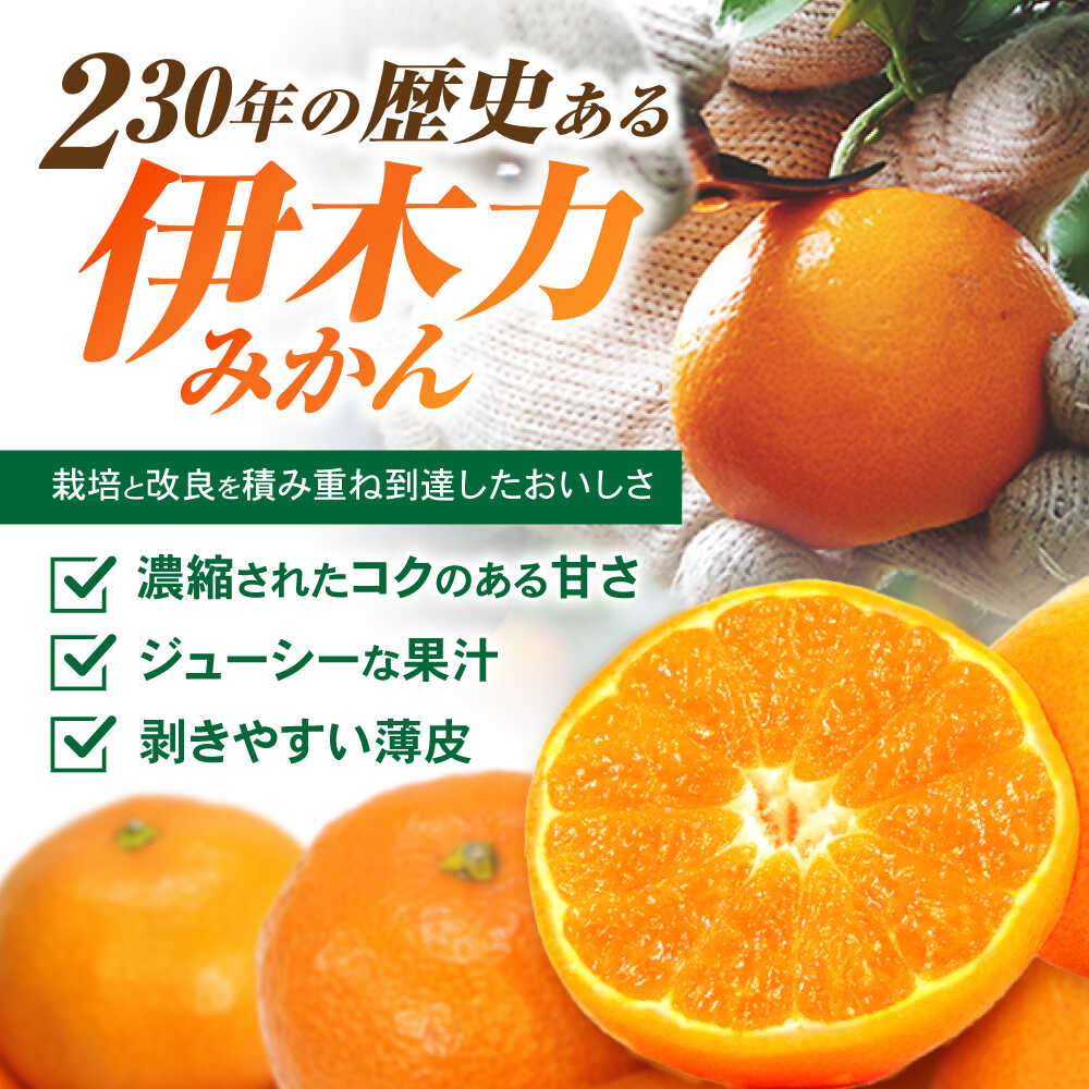 【ふるさと納税】【大人気みかんとレモンのお試しセット】伊木力みかん(家庭用)1.8kg マイヤーレモン1.8kg 計3.6kg / みかん ミカン 蜜柑 柑橘 レモン れもん 果物 / 諫早市 / 山野果樹園[AHCF016] サムネイル3