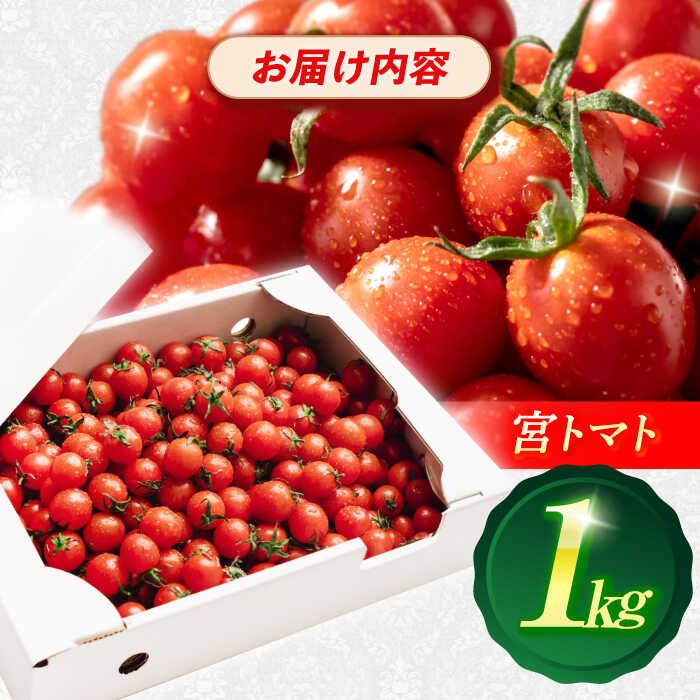 【ふるさと納税】プチッと弾ける果汁「宮トマト」1kg/トマト とまと ミニトマト プチトマト 野菜 やさい / 諫早市 / [AHCG023] - 画像2