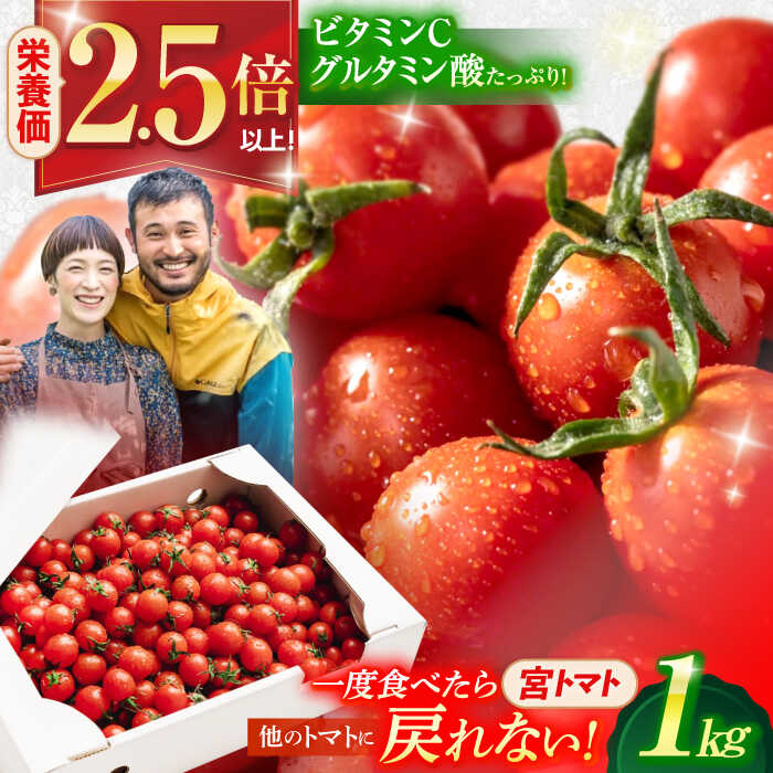 プチッと弾ける果汁「宮トマト」1kg/トマト とまと ミニトマト プチトマト 野菜 やさい / 諫早市 / [AHCG023]
