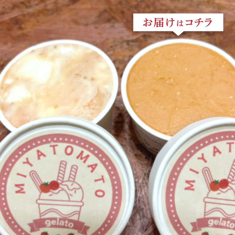 【ふるさと納税】宮トマトジェラート 80ml×6個 / ジェラート トマト とまと アイス　アイスクリーム スイーツ / 諫早市 / 宮下農園[AHCG032] - 画像3