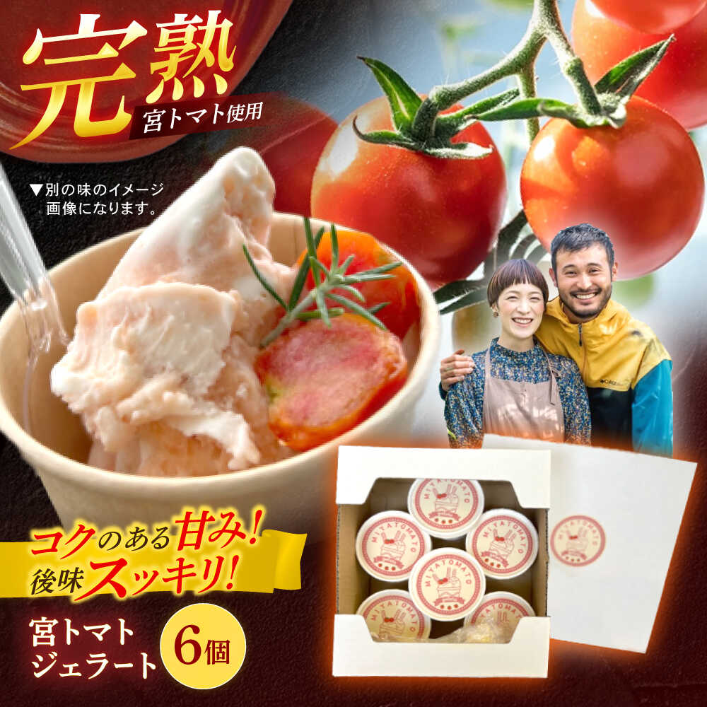 宮トマトジェラート 80ml×6個 / ジェラート トマト とまと アイス　アイスクリーム スイーツ / 諫早市 / 宮下農園[AHCG032]