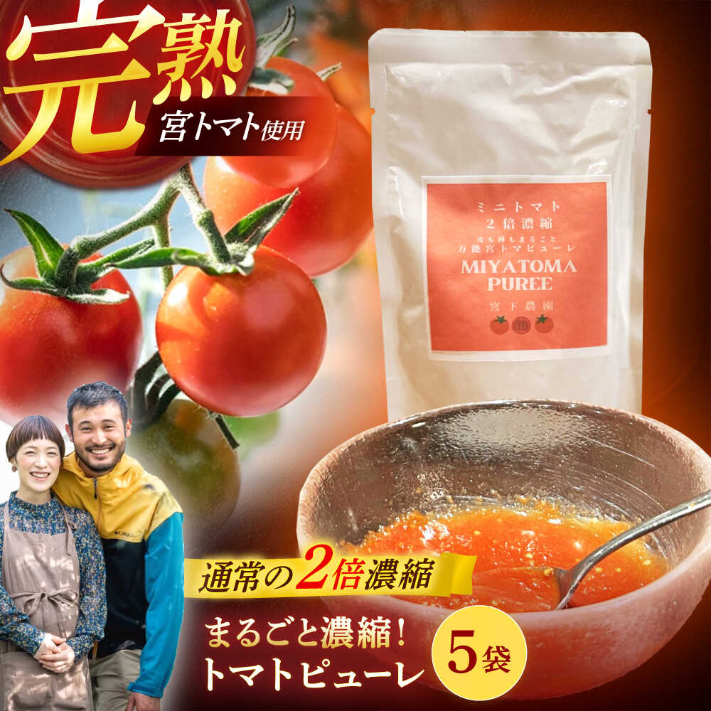 宮トマトのトマトピューレ 100g×5 / トマト ピューレ 濃縮ピューレ とまと 100％ / 諫早市 / 宮下農園[AHCG034]