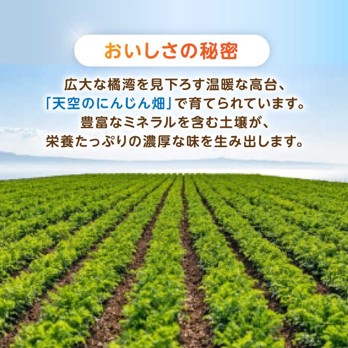 【ふるさと納税】滝さんの人参 10kg / にんじん ニンジン 人参 やさい 野菜 にんじんジュース 人参ジュース ニンジンジュース キャロット キャロットジュース / 諫早市 / 滝商店株式会社 [AHCU001] - 画像2