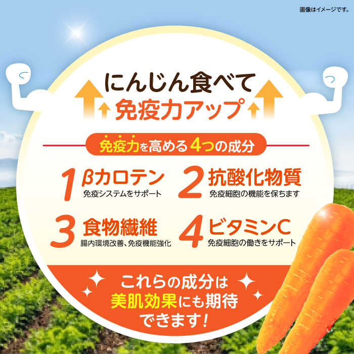 【ふるさと納税】滝さんの人参 10kg / にんじん ニンジン 人参 やさい 野菜 にんじんジュース 人参ジュース ニンジンジュース キャロット キャロットジュース / 諫早市 / 滝商店株式会社 [AHCU001] - 画像3