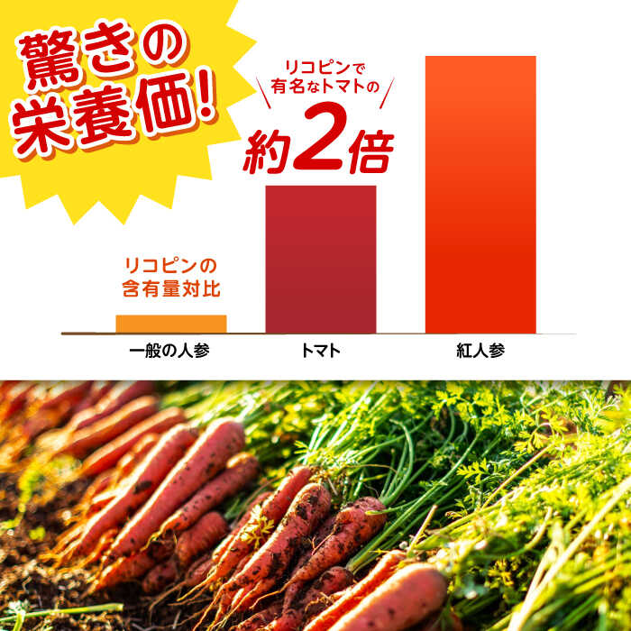 【ふるさと納税】【甘みと栄養たっぷり！】真っ赤な人参 「紅天神」 10kg / にんじん ニンジン 人参 やさい 野菜 / 諫早市 / 滝商店株式会社[AHCU002] - 画像3