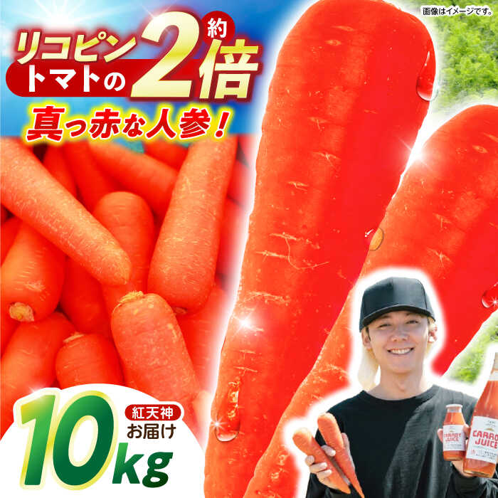 【甘みと栄養たっぷり！】真っ赤な人参 「紅天神」 10kg / にんじん ニンジン 人参 やさい 野菜 / 諫早市 / 滝商店株式会社[AHCU002]