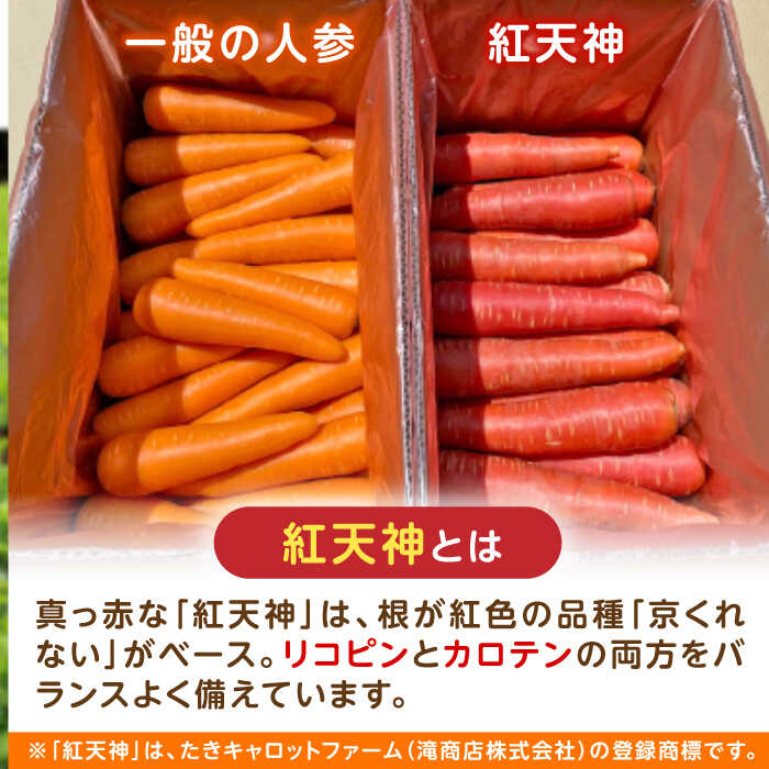 【ふるさと納税】【甘さと栄養を100%凝縮！】真っ赤な人参 「紅天神」 キャロットジュース 180ml×8本 / にんじん ニンジン 人参 キャロット きゃろっと ジュース じゅーす きゃろっとじゅーす / 諫早市 / 滝商店株式会社[AHCU004] - 画像3