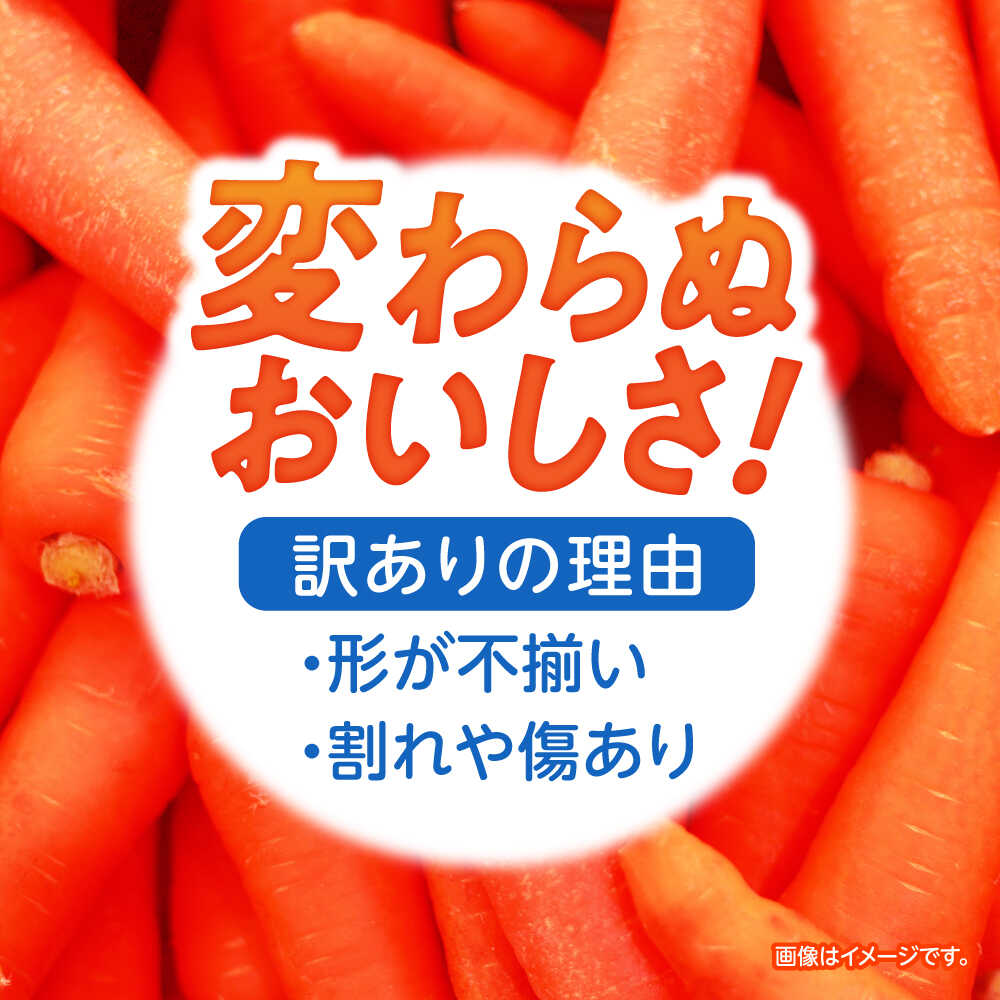 【ふるさと納税】【訳あり】【甘みと栄養たっぷり！】真っ赤な人参 「紅天神」 10kg / にんじん ニンジン 人参 やさい 野菜 訳あり 訳アリ わけあり ワケアリ / 諫早市 / 滝商店株式会社[AHCU006] - 画像2