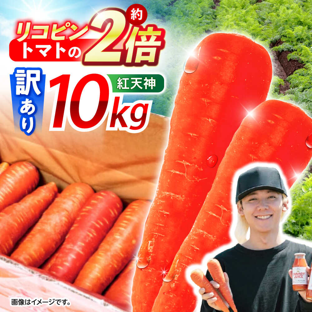 【訳あり】【甘みと栄養たっぷり！】真っ赤な人参 「紅天神」 10kg / にんじん ニンジン 人参 やさい 野菜 訳あり 訳アリ わけあり ワケアリ / 諫早市 / 滝商店株式会社[AHCU006]