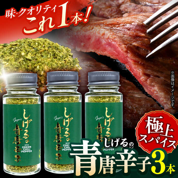 しげるの3本セット(青唐辛子×3)　/　激辛　スパイス　薬味　/　諫早市　/　株式会社飯盛グリーン開発[AHCY019]