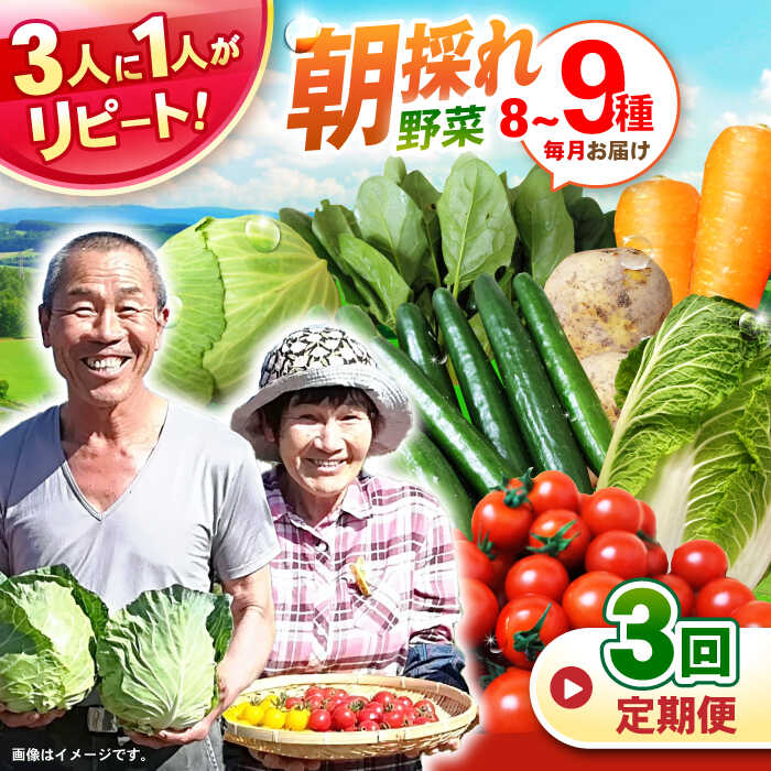 【全3回定期便】諫早産野菜の詰め合わせ 8〜9品目程度 / 季節 旬 野菜 やさい 春野菜 夏野菜 秋野菜 野菜セット 詰め合わせ 野菜定期 野菜定期便 定期便 / 諫早市 / 肥前グローカル株式会社 [AHDI001]