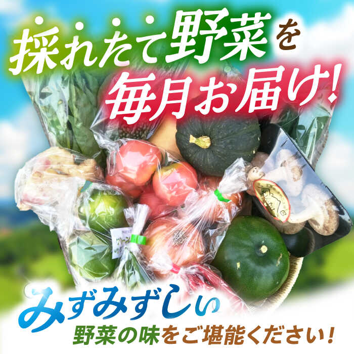 【ふるさと納税】【全6回定期便】諫早産野菜の詰め合わせ 8〜9品目程度 / 季節 旬 野菜 やさい 春野菜 夏野菜 秋野菜 野菜セット 詰め合わせ 野菜定期 野菜定期便 定期便 / 諫早市 / 肥前グローカル株式会社 [AHDI002] - 画像2