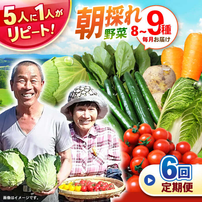 【全6回定期便】諫早産野菜の詰め合わせ 8〜9品目程度 / 季節 旬 野菜 やさい 春野菜 夏野菜 秋野菜 野菜セット 詰め合わせ 野菜定期 野菜定期便 定期便 / 諫早市 / 肥前グローカル株式会社 [AHDI002]