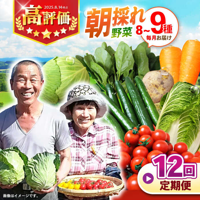 【12回定期便】諫早産 野菜の詰め合わせ 8〜9品目程度 / 季節 旬 野菜 やさい 春野菜 夏野菜 秋野菜 野菜セット 詰め合わせ 野菜定期 野菜定期便 定期便 / 諫早市 / 肥前グローカル株式会社 [AHDI003]