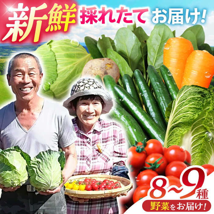 諫早産野菜の詰め合わせ 8〜9品目程度 / 季節 旬 野菜 やさい 春野菜 夏野菜 秋野菜 野菜セット 詰め合わせ / 諫早市 / 肥前グローカル株式会社 [AHDI004]