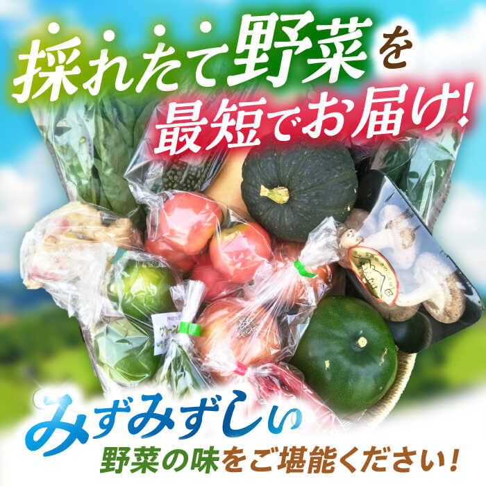 【ふるさと納税】諫早のんのこ彩菜・詰め合わせ 10〜12品 / 季節 旬 野菜 やさい 春野菜 夏野菜 秋野菜 野菜セット 詰め合わせ / 諫早市 / 肥前グローカル株式会社 [AHDI005] - 画像2