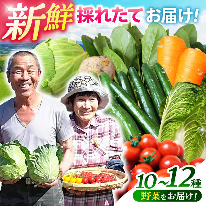 諫早のんのこ彩菜・詰め合わせ 10〜12品 / 季節 旬 野菜 やさい 春野菜 夏野菜 秋野菜 野菜セット 詰め合わせ / 諫早市 / 肥前グローカル株式会社 [AHDI005]