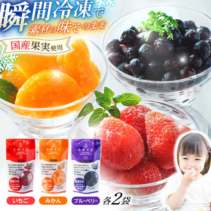 長崎冷果6袋セット（いちご・みかん・ブルーベリー）各2袋　/　冷凍　冷凍フルーツ　いちご　みかん　ブルーベリー　/　諫早市　/　エスジーエス株式会社[AHEQ001]