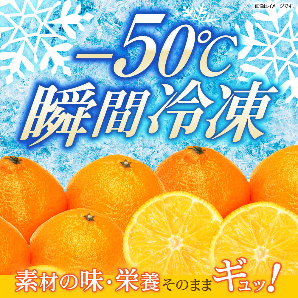 【ふるさと納税】長崎冷果 みかん 6袋セット / 冷凍 冷凍フルーツ みかん ミカン 柑橘 / 諫早市 / エスジーエス株式会社[AHEQ002] サムネイル2