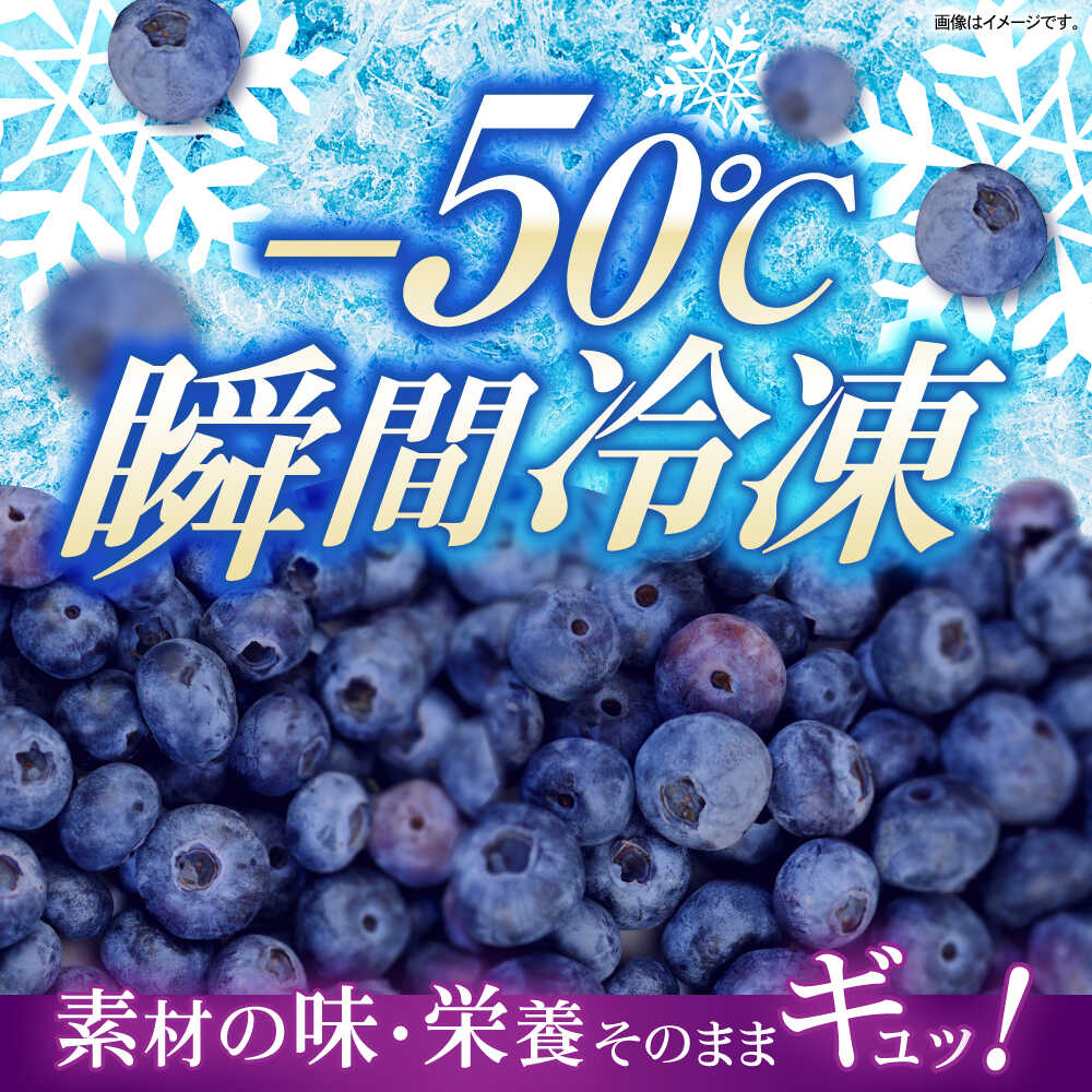 【ふるさと納税】長崎冷果 ブルーベリー 3袋セット　/ 冷凍 冷凍フルーツ ブルーベリー ベリー / 諫早市 / エスジーエス株式会社[AHEQ004] サムネイル2