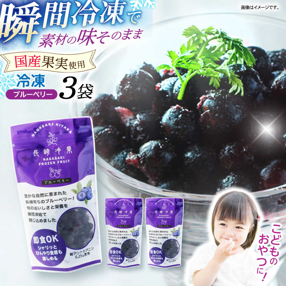 長崎冷果 ブルーベリー 3袋セット　/ 冷凍 冷凍フルーツ ブルーベリー ベリー / 諫早市 / エスジーエス株式会社[AHEQ004]