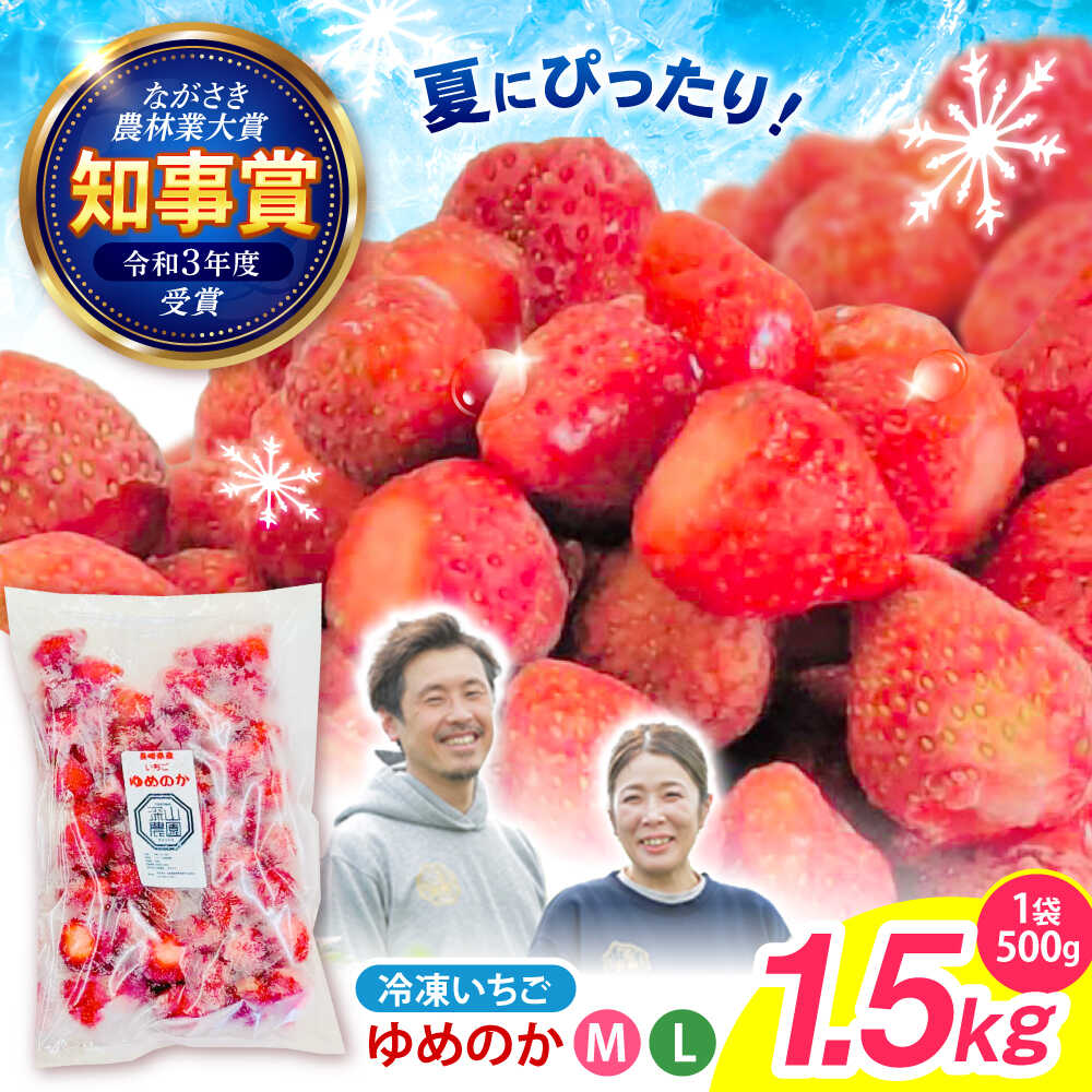 【完熟の恵み、ぎゅっと冷凍！】冷凍いちご「ゆめのか」 M-Lサイズ 1.5kg(500g×3) / いちご イチゴ 苺 冷凍 冷凍いちご 冷凍フルーツ イチゴジャム / 諫早市 / むらたサービス[AHFA001]